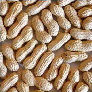 peanuts available for sale in bulk