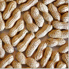 peanuts available for sale in bulk