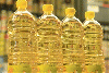 SunFlower oil for sale